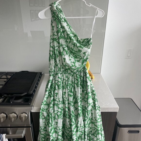 Exclusive Green Botanica Long Dress by CHARINA SARTE - Picture 1 of 3